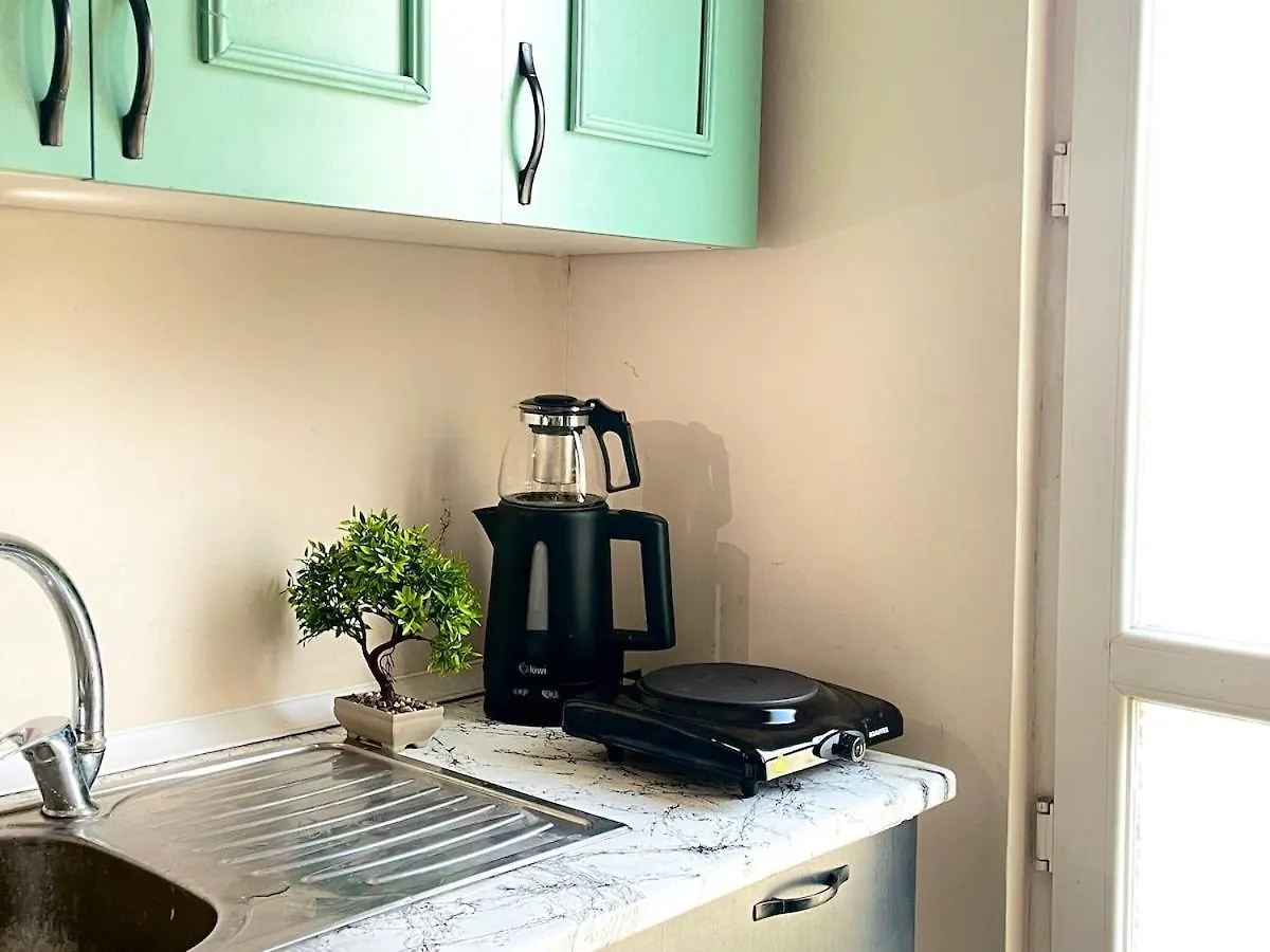 Historical Flat Close To Istiklal Avenue Istanbul Apartment